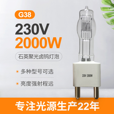 lampe à haute tension de l'halogène 230v 2000 simples de l'ampoule G38 de watt finis