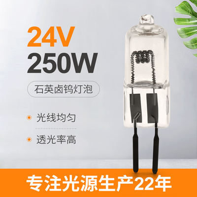 24V étape de lampe de projection d'halogène d'ampoule de quartz de 250 watts allumant la prise de 50hours GY6.35