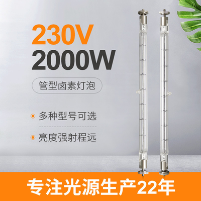 les ampoules d'halogène de lampe de quartz de 230V 2000w doublent les tubes infrarouges finis de rechange d'appareil de chauffage